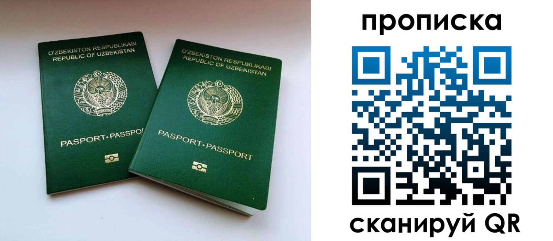 прописка поиск в Баксане